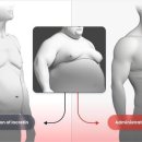 당신의약국 이미지