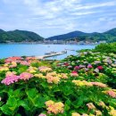 고흥숲속의바다 이미지