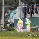 화성양돈2 이미지