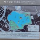 .전주 덕진공원 &#34;연꽃&#34;[2024년 7월 10일(음:6월 5일)일출 5시 19분.일몰20시56분] 이미지