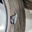 타이어테크 기장점 이미지