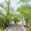 불국사관광안내소 이미지