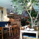 차오패밀리 이미지