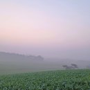 여명목장2 이미지