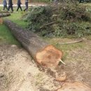 방갈로민박 이미지