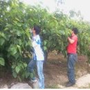 진서면사무소 이미지