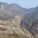 마니산 농원 이미지