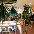 뜰안에 정원 이미지