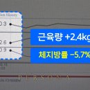 페르소나 피티샵 이미지
