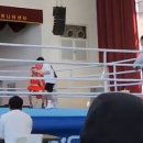 서산시 복싱협회 이미지