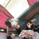 구암동541 이미지