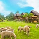 착한목장 이미지