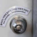 오월의햇살