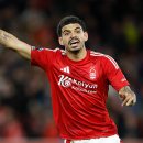 화이트메디칼 이미지