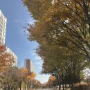 연운빌딩 | 인천서구 ㅣ 헤라 검암동타로카페아라뱃길사주타로카페 운세 사주 이색데이트 사주후기