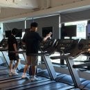 레디 바디 이미지