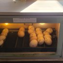 와가목장 이미지