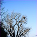 성당포구 이미지