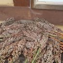 하늘밥상