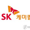 나이스케미칼