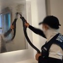 효신로 | 대구 동구 입주 이사 청소전문업체 이용 후기