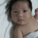 강은이네 이미지