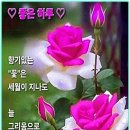 건강하세요