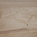 책이랑 영어랑 이미지