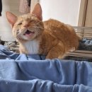 진양호로84번길 이미지