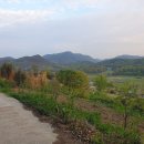 무정면사무소 이미지