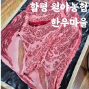 빛그린 | 광주근교 함평소고기 맛집 함평한우마을 1+ 한우등심 먹은 후기