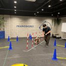 프랑소와펫 롯데일산점 이미지