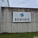 부엔빠리오 | 고령 정원뷰가 예쁜 카페 부엔빠리오 방문후기