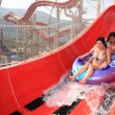 물놀이가자 이미지