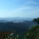 정광산 Daum카페