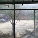 산골가든 이미지