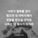 요한복음 15장 8절 이미지