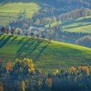 꽃피는 풍경 이미지