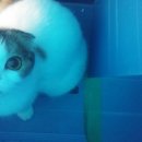 서울하은동물병원 이미지