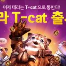 테라악세사리 이미지