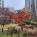 봄꽃에서첫눈까지 이미지