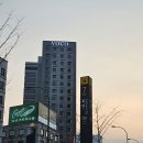 명동보쌈갈비 | 주말 디너 3만원대 호텔뷔페 다녀왔습니다 [ 보코 서울 명동 ]