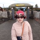 색달동-16 이미지