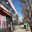 불로스타약국 이미지