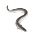 엔와이 모터스 이미지