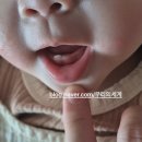매일유업(아산공장) | 2024년생 12개월 산삼로그 ˙ᘧ ͜ ˙ - 유단백&계란 알러지 아가 정보공유