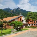 남대천약국 이미지