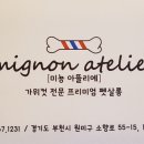 미용천재