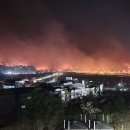 [속보] 산불로 7명 사망… 영양 4명·영덕 1명·청송 1명 이미지