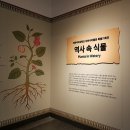 이화여자대학교 자연사박물관 이미지